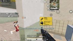 和平精英最新爆料 旭升,和平精英新势力崭露头角  第3张